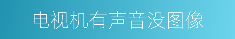 电视机有声音没图像的同义词