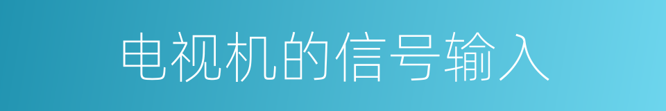 电视机的信号输入的同义词