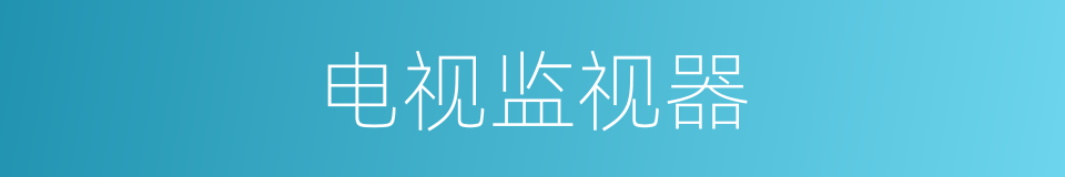 电视监视器的同义词