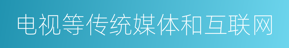 电视等传统媒体和互联网的同义词