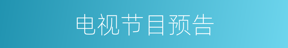 电视节目预告的同义词