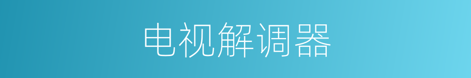 电视解调器的同义词