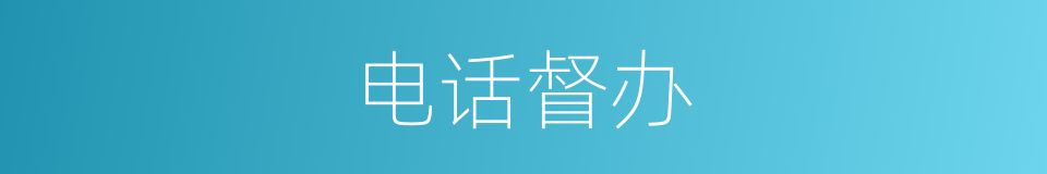 电话督办的同义词