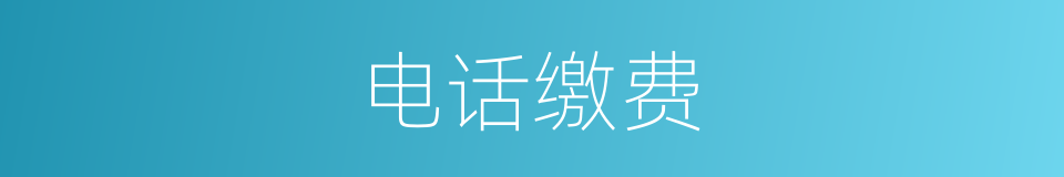 电话缴费的同义词