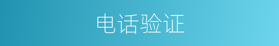 电话验证的同义词