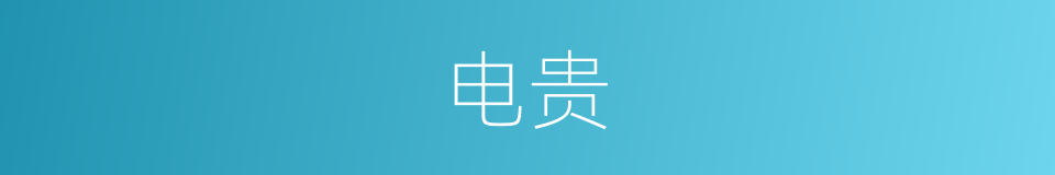电贵的同义词