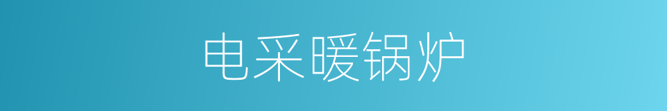 电采暖锅炉的同义词