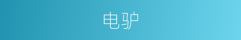 电驴的意思