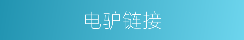 电驴链接的同义词