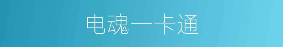电魂一卡通的同义词