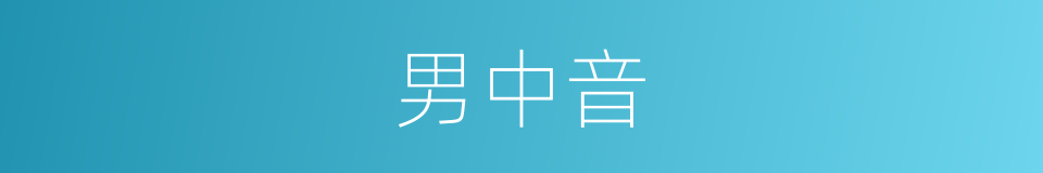 男中音的意思