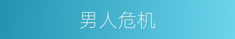 男人危机的同义词