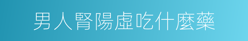 男人腎陽虛吃什麼藥的同義詞