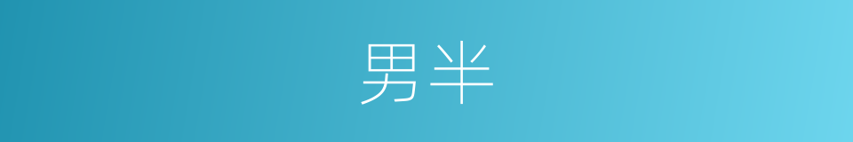 男半的同义词