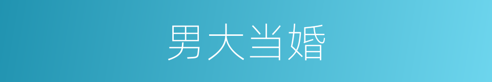 男大当婚的意思
