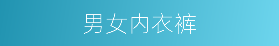 男女内衣裤的同义词