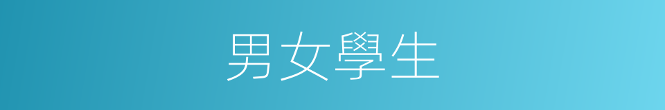 男女學生的同義詞