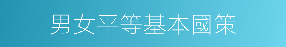 男女平等基本國策的同義詞