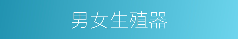 男女生殖器的同义词