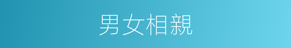 男女相親的同義詞