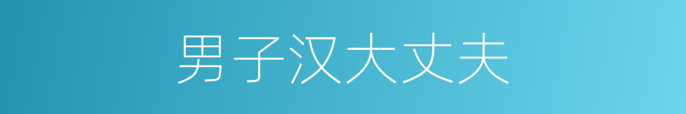 男子汉大丈夫的意思