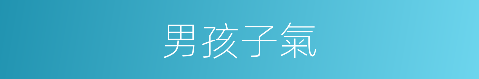 男孩子氣的同義詞