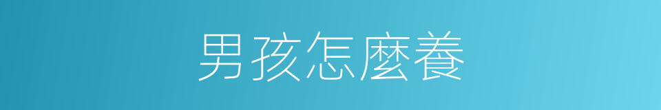 男孩怎麼養的同義詞