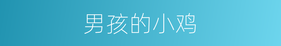 男孩的小鸡的同义词