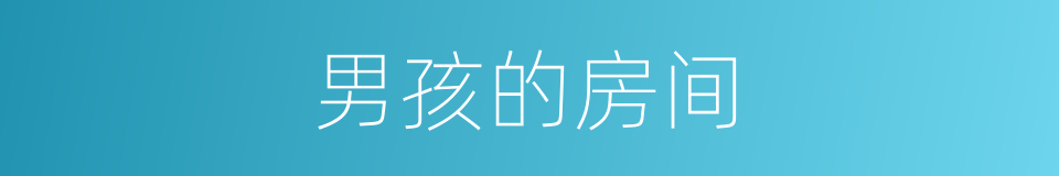 男孩的房间的同义词