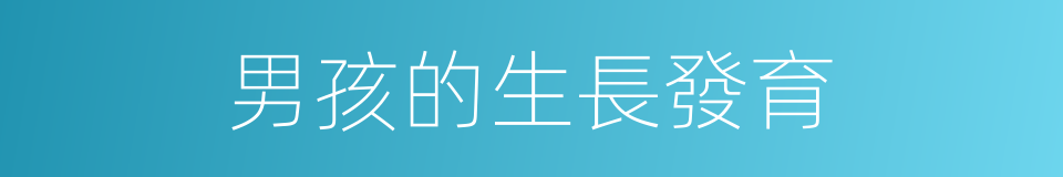 男孩的生長發育的同義詞