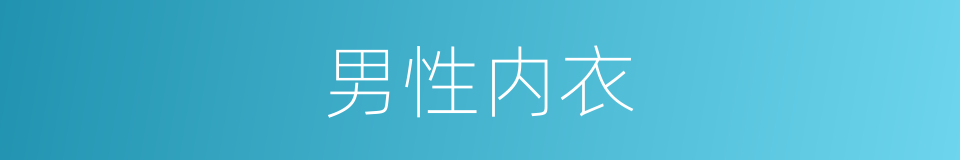 男性内衣的同义词