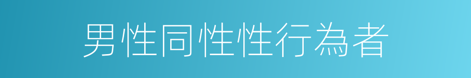 男性同性性行為者的同義詞