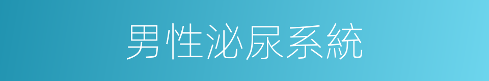 男性泌尿系統的同義詞