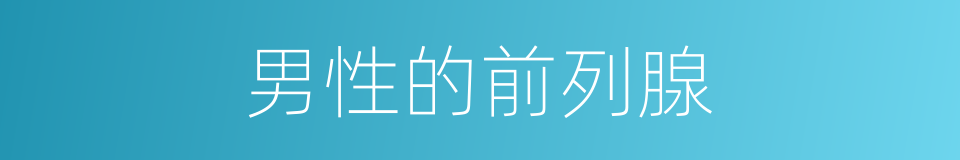 男性的前列腺的同义词