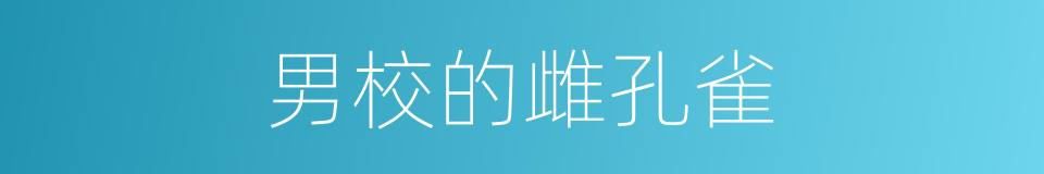 男校的雌孔雀的同义词