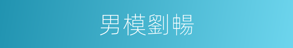 男模劉暢的同義詞