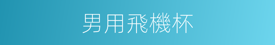 男用飛機杯的同義詞