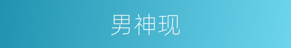 男神现的同义词