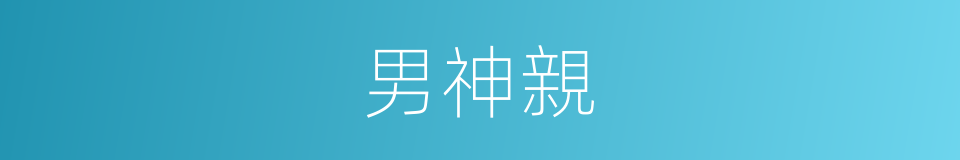 男神親的同義詞