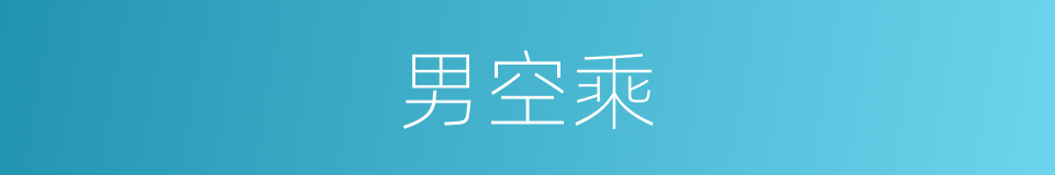 男空乘的意思