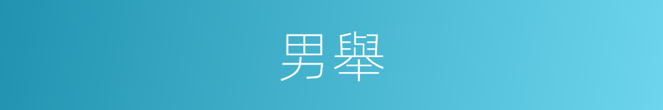 男舉的同義詞