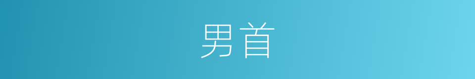 男首的同义词