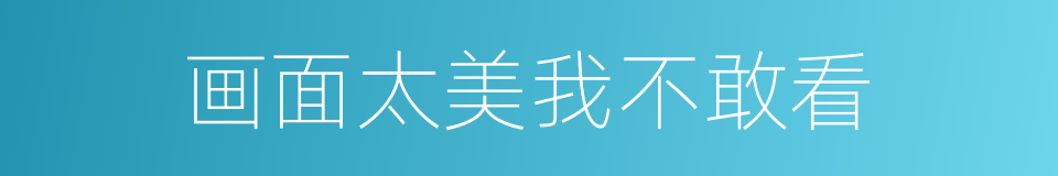画面太美我不敢看的同义词