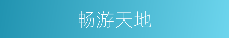 畅游天地的同义词