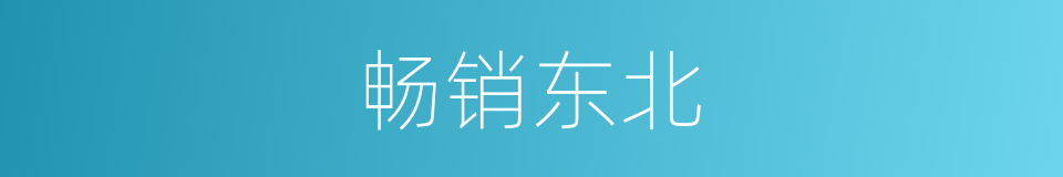 畅销东北的同义词