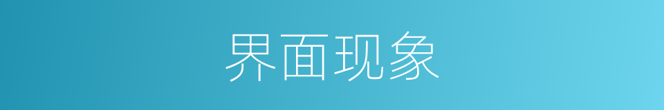 界面现象的同义词