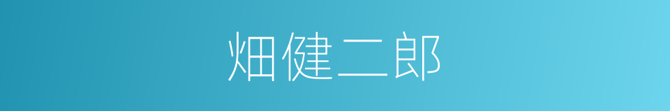 畑健二郎的同义词