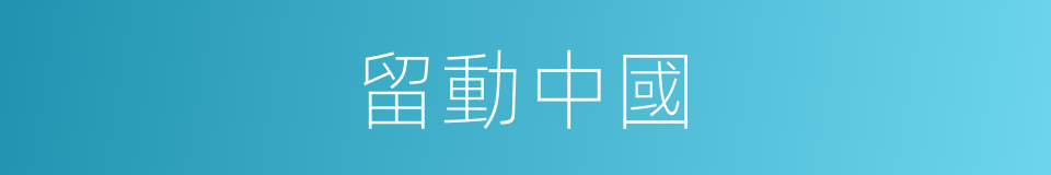 留動中國的同義詞