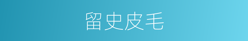 留史皮毛的同义词