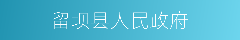 留坝县人民政府的同义词